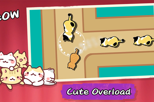 Cat Freeway